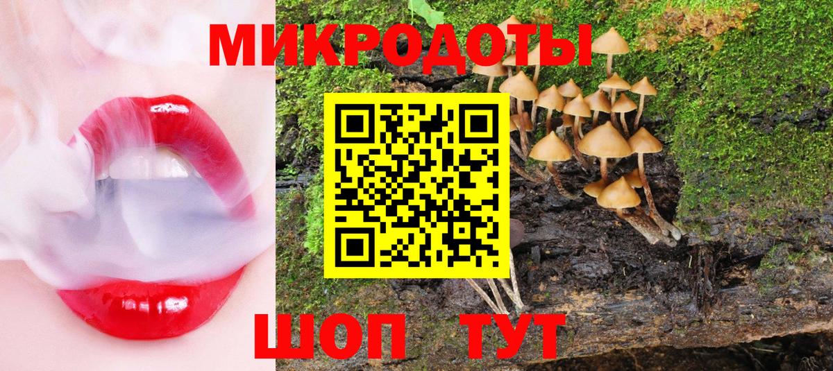 Псилоцибиновые грибы GOLDEN TEACHER  наркотики  Вход с VPN  Гулькевичи  Псилоцибиновые грибы мицелий 