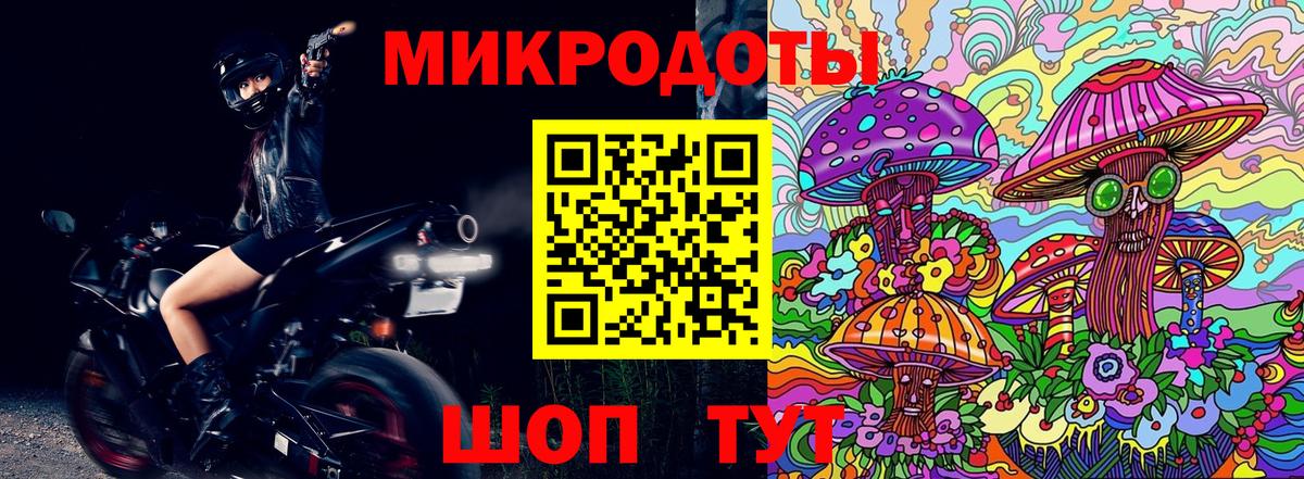 Псилоцибиновые грибы мухоморы Гулькевичи